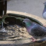 Milan Awaits: Your In-Depth Travel Guide to Italy's Fashion, Art, and Culinary Wonders