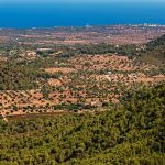Majorca Unveiled: Your Complete Travel Guide to Discovering Spain&rsquo;s Stunning Island Paradise