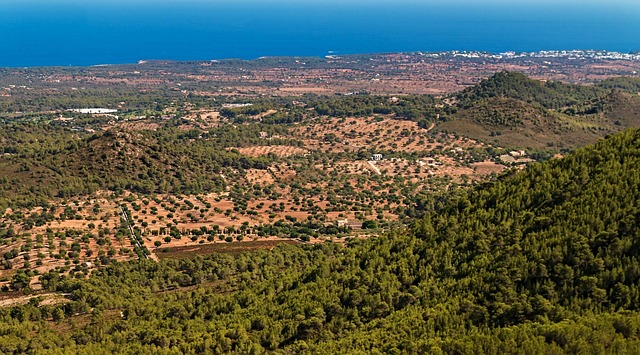 Majorca Unveiled: Your Complete Travel Guide to Discovering Spain&rsquo;s Stunning Island Paradise