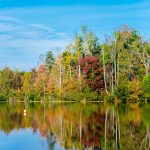 Explore North Carolina: Your Ultimate Guide to the State's Natural Beauty and Hidden Treasures