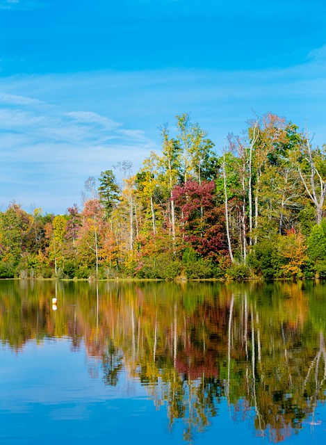 Explore North Carolina: Your Ultimate Guide to the State's Natural Beauty and Hidden Treasures
