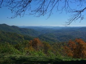 North Carolina Road Trip: A Complete Travel Guide to Scenic Routes and Local Attractions