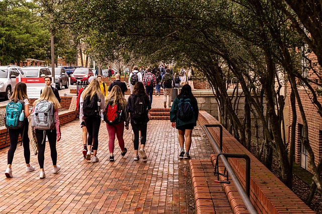 Explore North Carolina: A Comprehensive Travel Guide to Its Hidden Gems and Natural Wonders